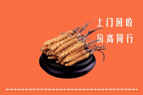 府谷县回收冬虫夏草