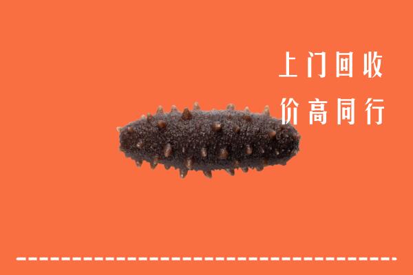 府谷县高价回收海参